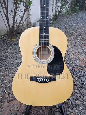 Martin Smith Acoustic Guitar