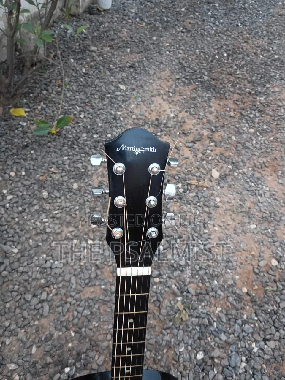 Martin Smith Acoustic Guitar