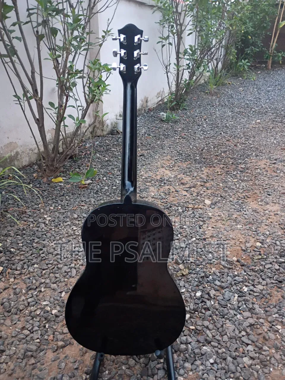 Martin Smith Acoustic Guitar