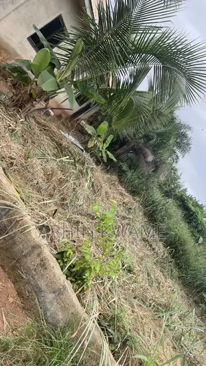 A Land With Size 100x100 Located at Santasi-Apampatia
