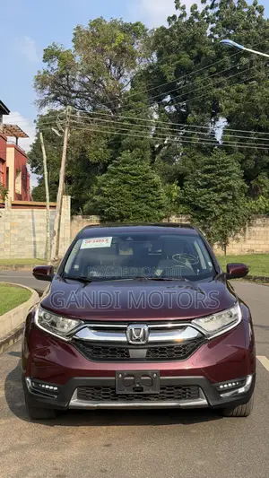 Honda CR-V EX AWD 2019 Burgundy
