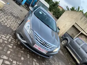 Hyundai Sonata 2013 Gray
