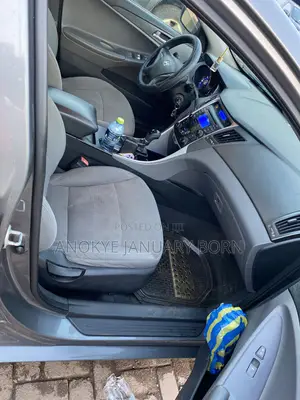 Hyundai Sonata 2013 Gray