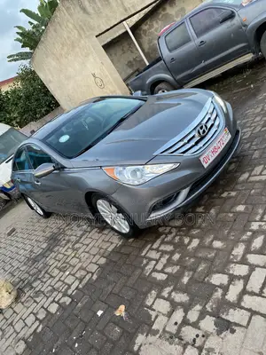 Hyundai Sonata 2013 Gray
