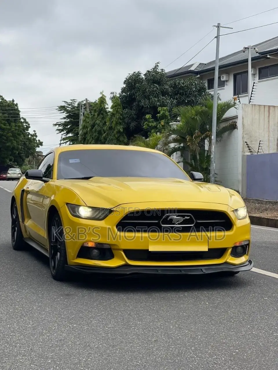 Ford Mustang GT 50 Years Limited Edition 2dr Coupe (5.0L 8cyl 6M) 2015