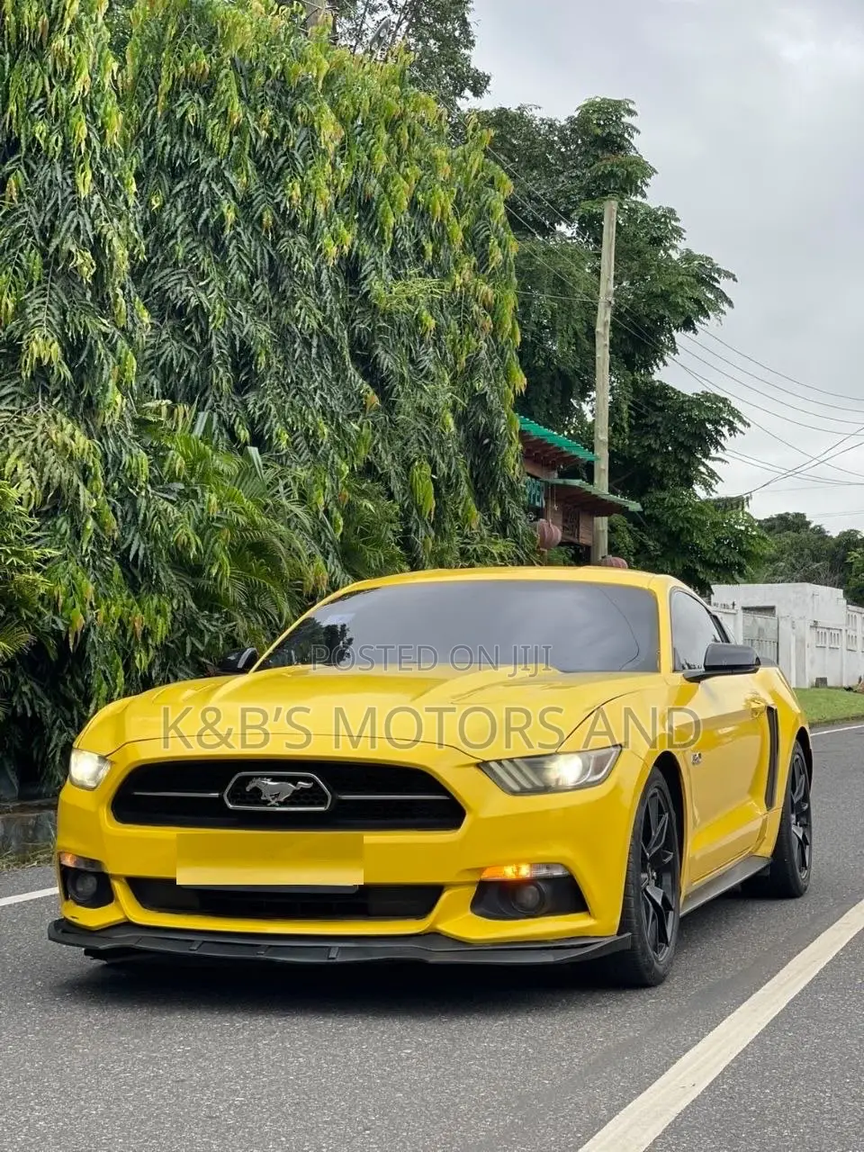 Ford Mustang GT 50 Years Limited Edition 2dr Coupe (5.0L 8cyl 6M) 2015