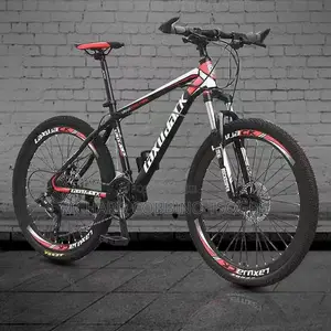 The Bike Master