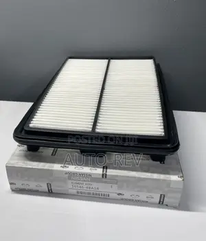 Nissan Rogue/Qashqai Air Filter || 16546