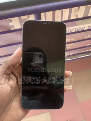 Apple iPhone 12 Pro Max 128 GB Gray