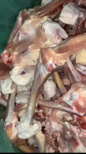 Dog Chicken