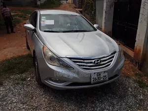 Hyundai Sonata 2010 Gray