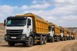 Tipper Trucks Needed for a Long Term Contract