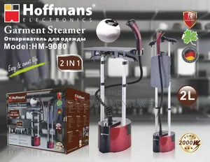 2 in 1 Garment Steamer