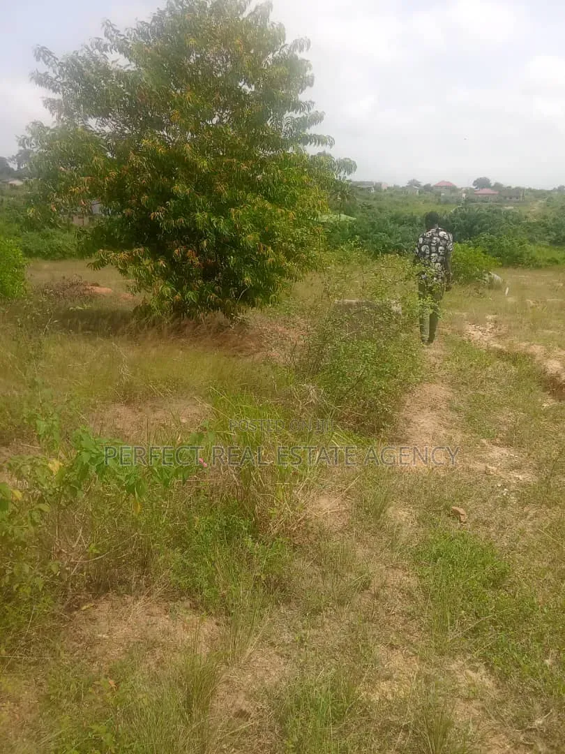 2 Plots of Land for Sale at Awutu Senya