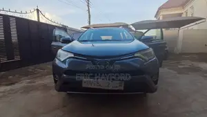 Toyota RAV4 XLE AWD (2.5L 4cyl 6A) 2017 Gray