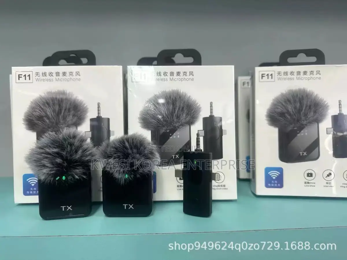 F11 Two in One Microphone