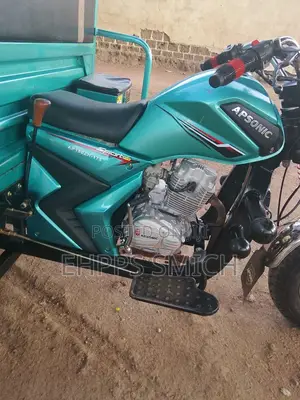 Apsonic AP150ZH-175 2025 Green