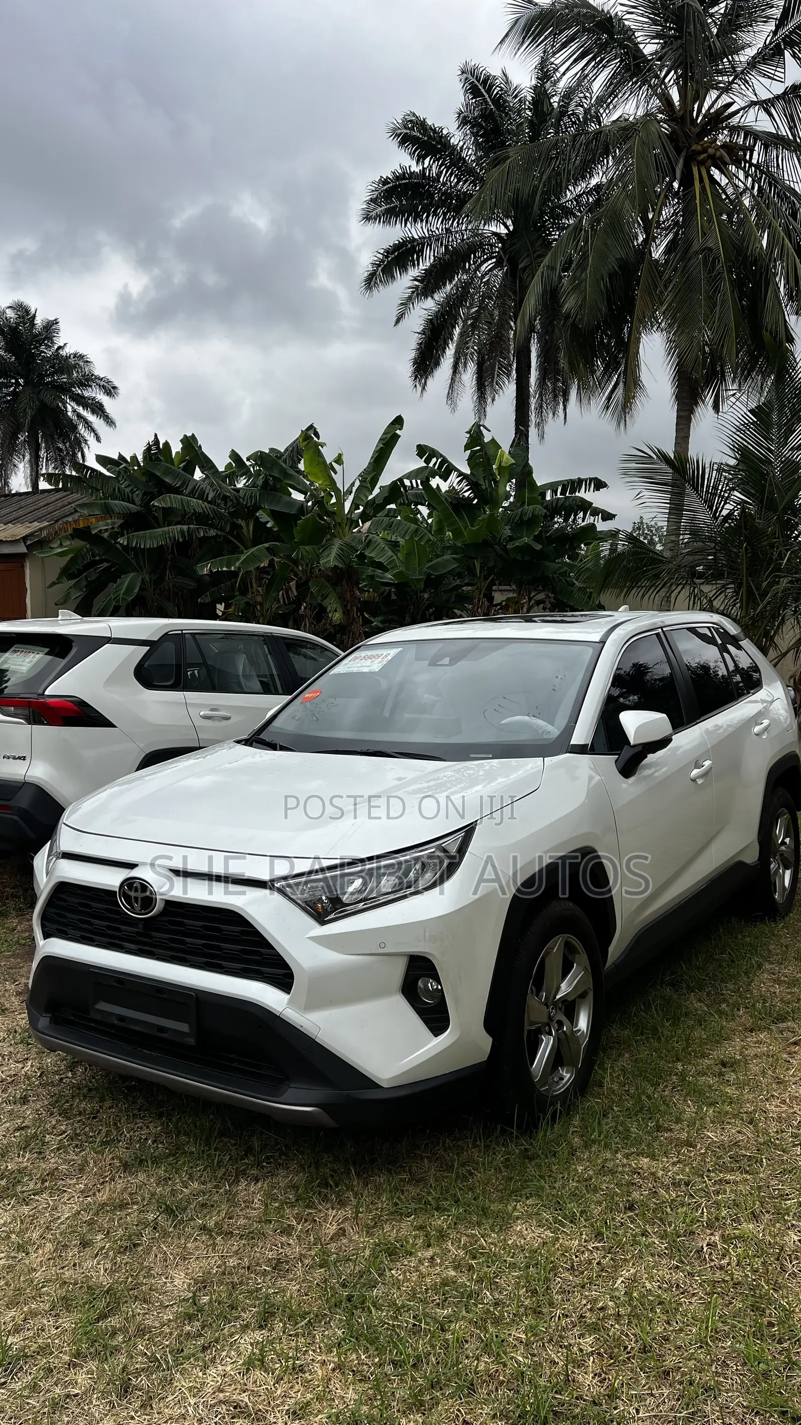 Toyota RAV4 2023 White