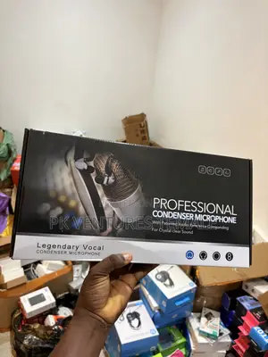 Professional Condenser Microphone