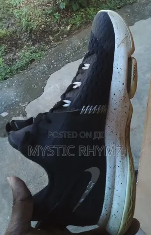 Nike Lebron Witness V(5) Basketball Sneaker