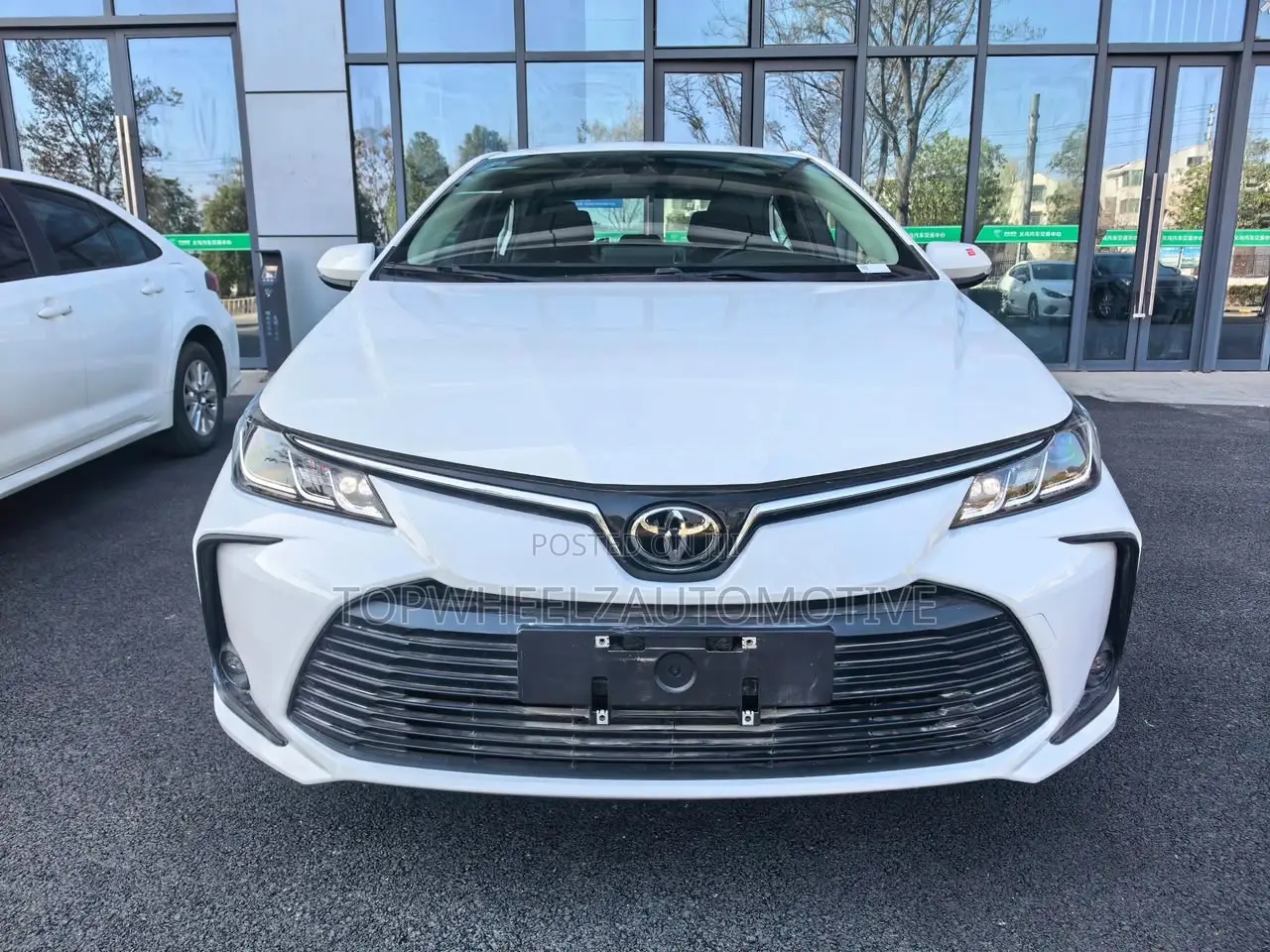 Toyota Corolla 2023 White