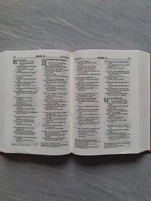 Sunrise Good News Bible With Words of Christ in Red (Small)
