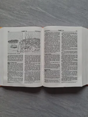 Sunrise Good News Bible With Words of Christ in Red (Small)