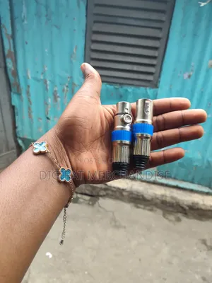 Silver With Blue Cannon Plugs