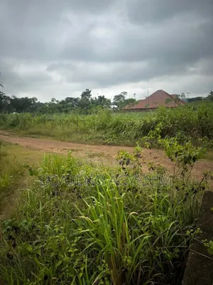 Full Plot for Sale