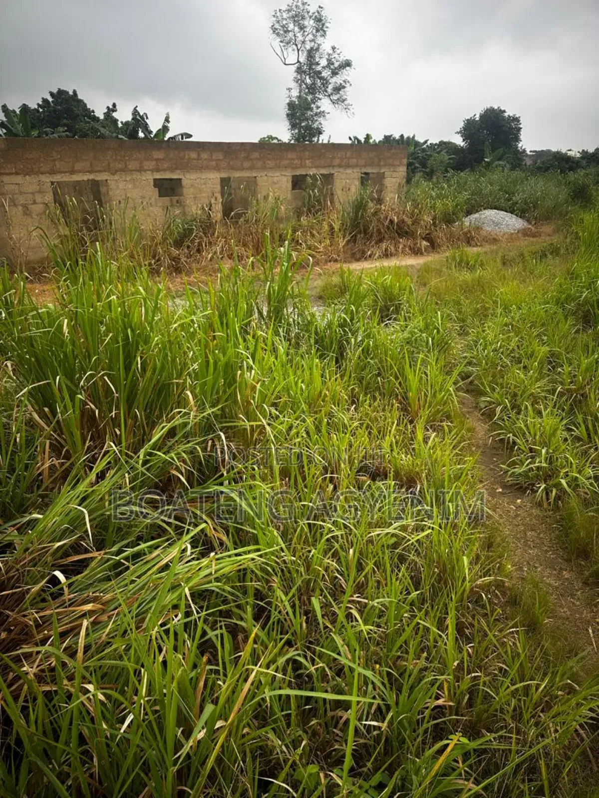 Full Plot for Sale