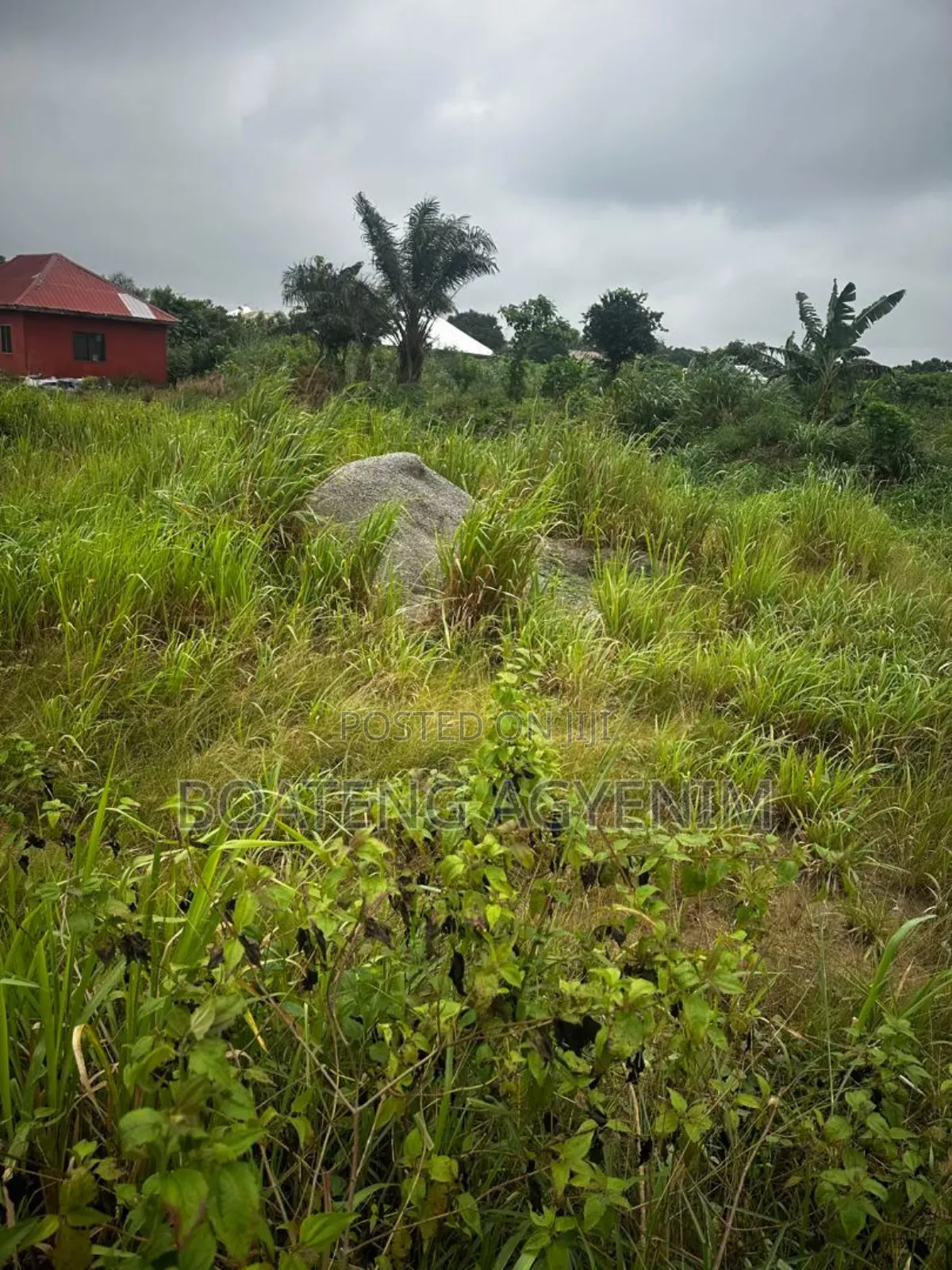 Full Plot for Sale