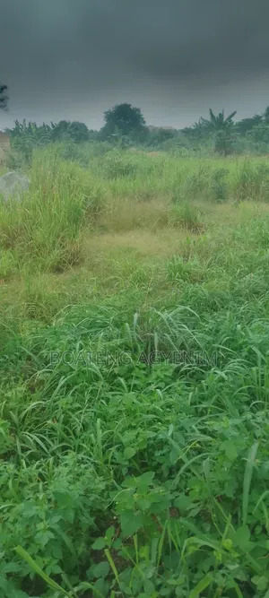 Full Plot for Sale