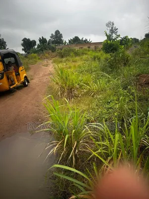 Two Plots of Land for Sale