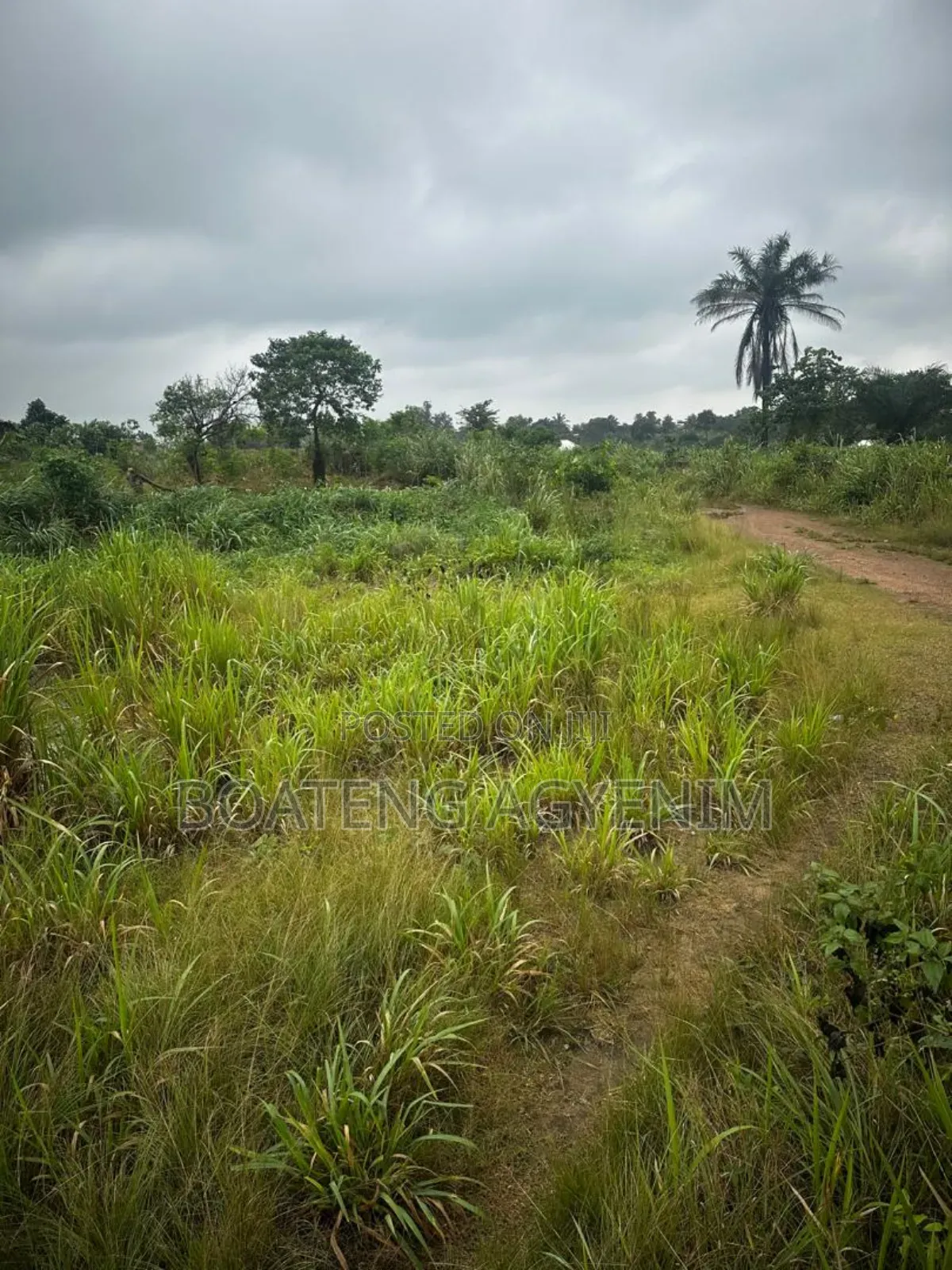 Two Plots of Land for Sale