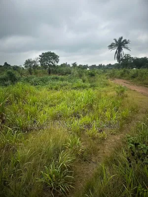 Two Plots of Land for Sale