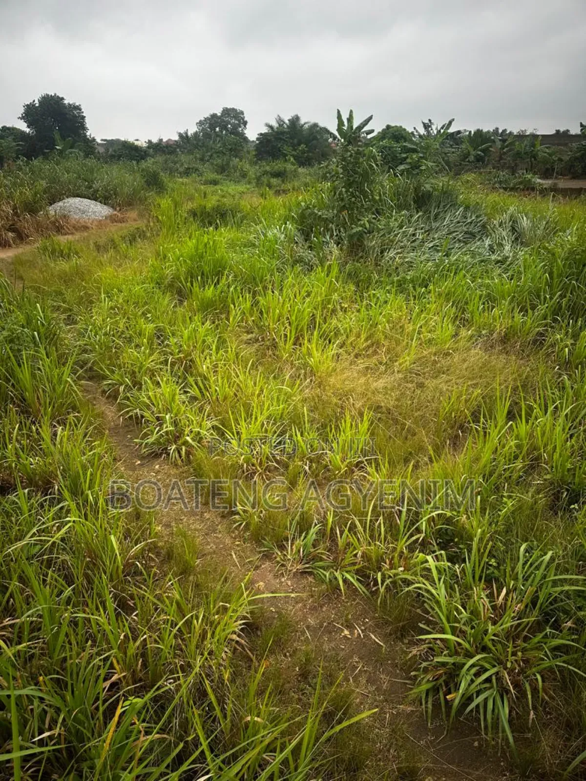 Two Plots of Land for Sale