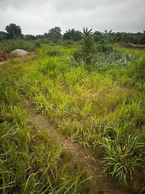 Two Plots of Land for Sale