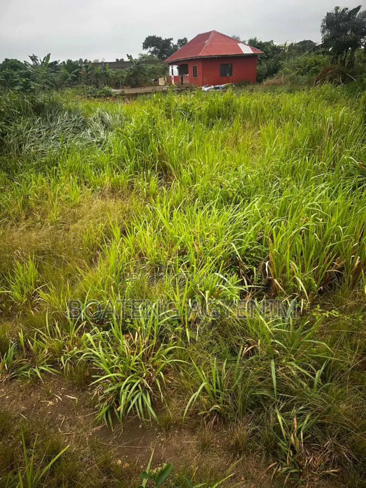 Two Plots of Land for Sale