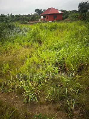 Two Plots of Land for Sale