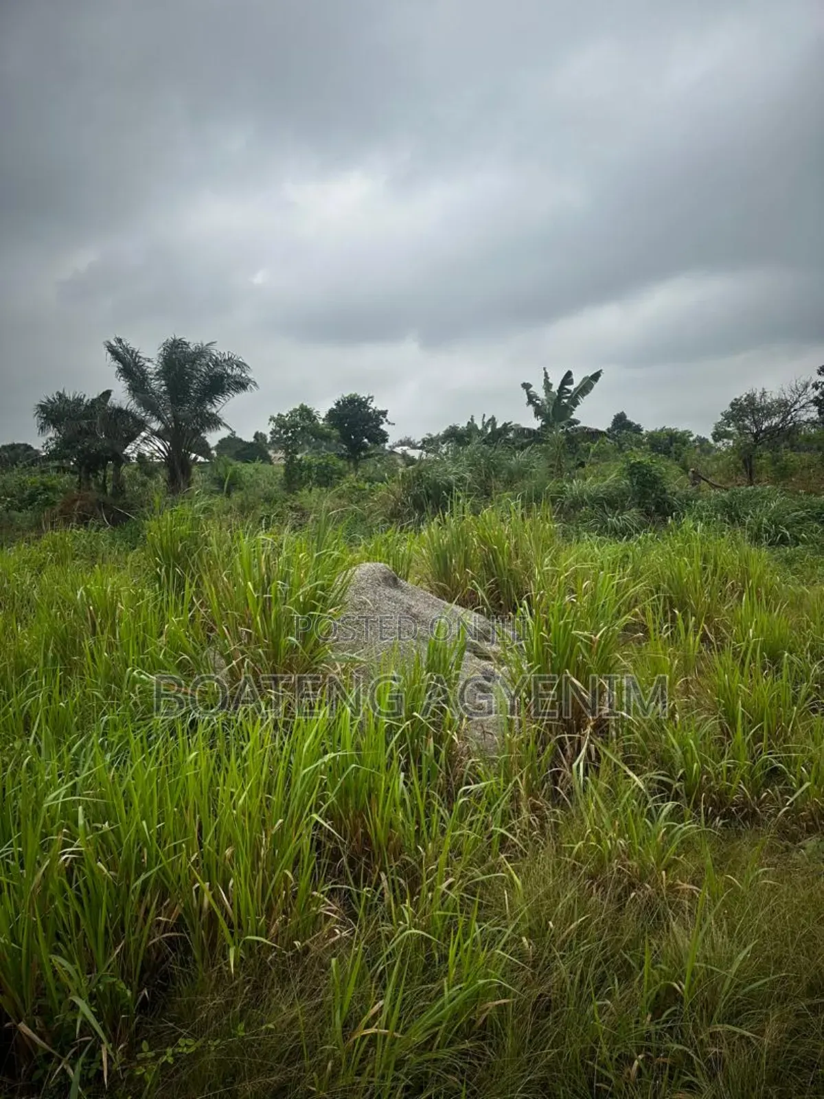 Two Plots of Land for Sale