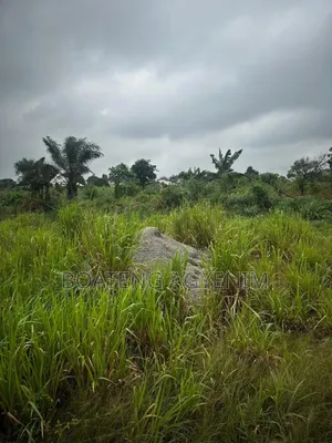 Two Plots of Land for Sale