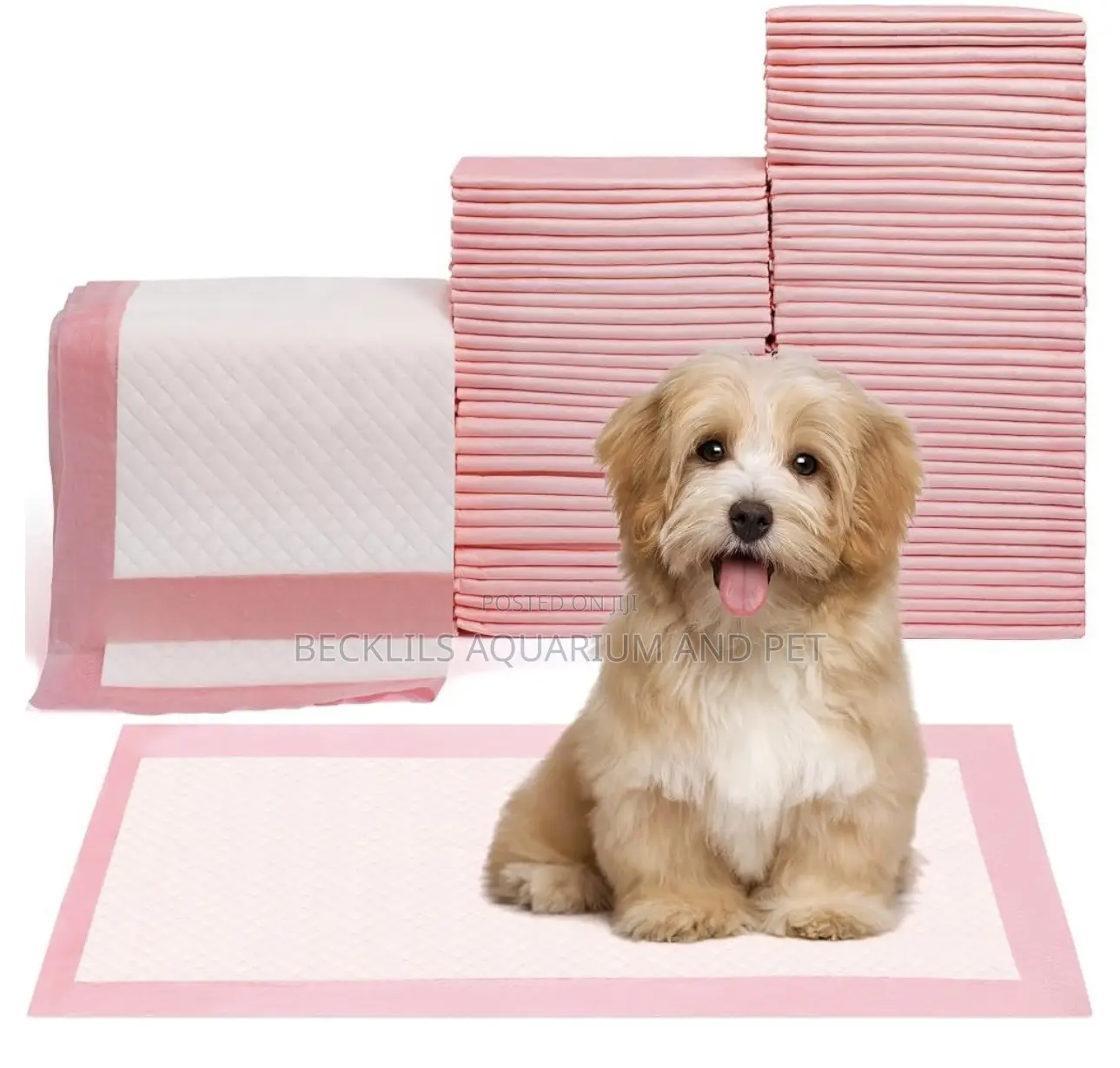 100 Pieces Dog Training Pee Pads