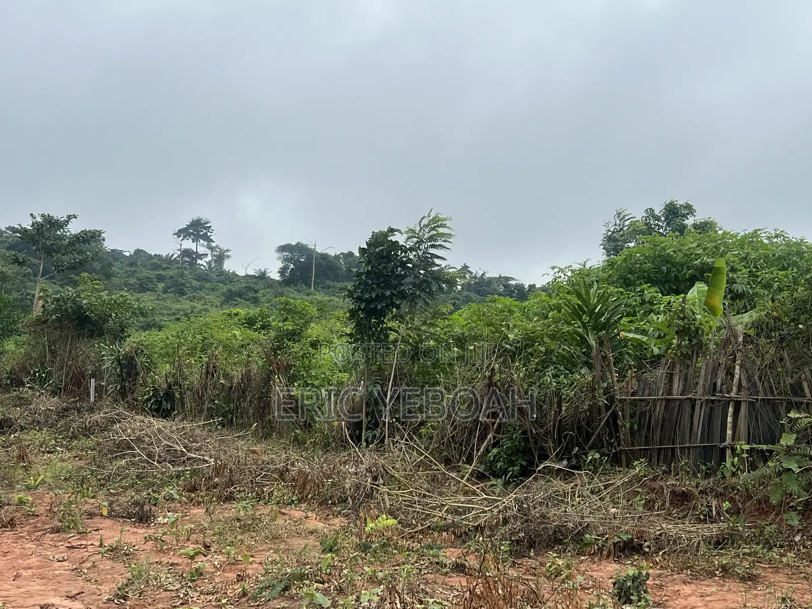 3 Acres / 15 Plot of Land for Sale at Koforidua