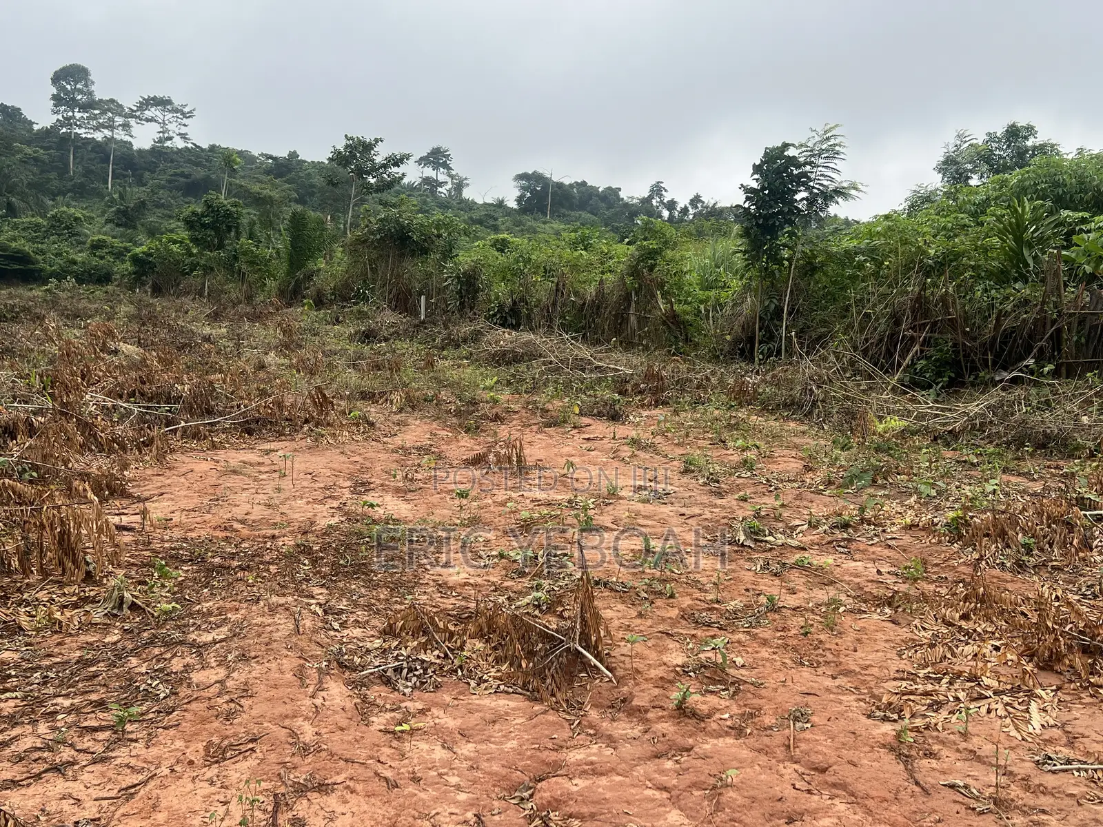 3 Acres / 15 Plot of Land for Sale at Koforidua