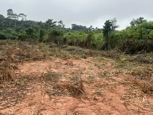 3 Acres / 15 Plot of Land for Sale at Koforidua