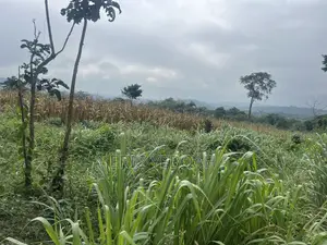4 Acres of Land /20 Plots of Land at Koforidua