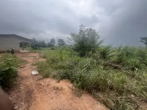 4 Acres of Land /20 Plots of Land at Koforidua