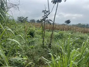 4 Acres of Land /20 Plots of Land at Koforidua