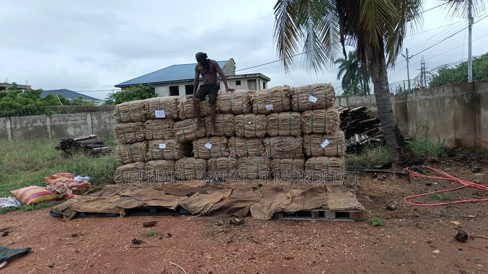 1 Time Used Jute Sacks