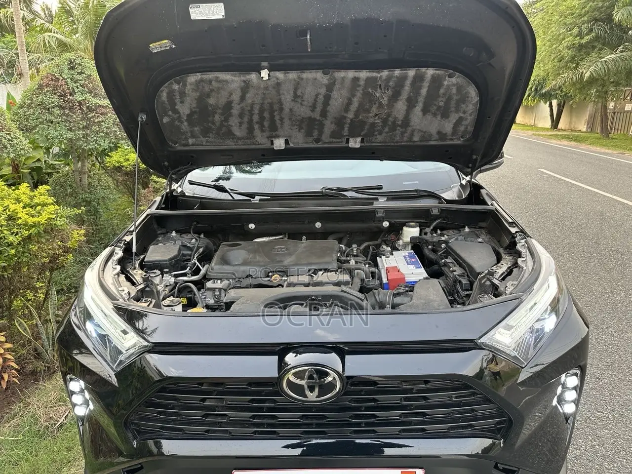 Toyota RAV4 XLE 2021 Black